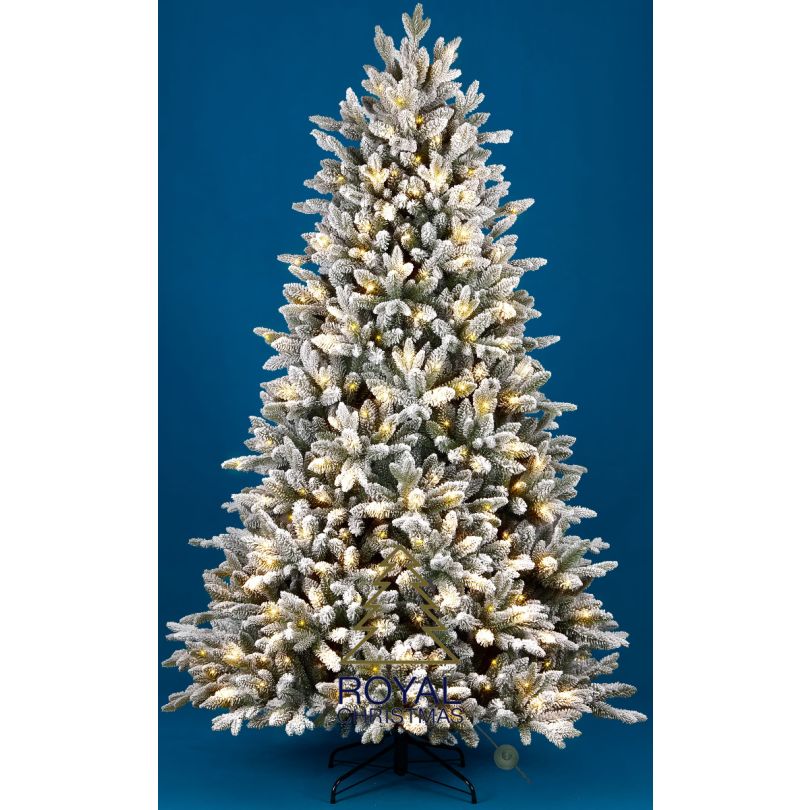 Artificial Christmas Tree Canberra PE / PVC Flock / Snow Smart