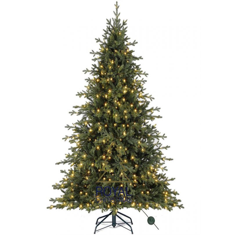 Pe christmas tree Clearance